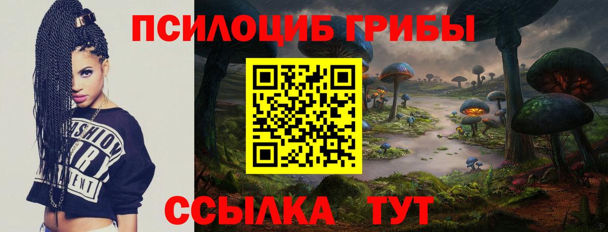 Псилоцибиновые грибы GOLDEN TEACHER Кубинка
