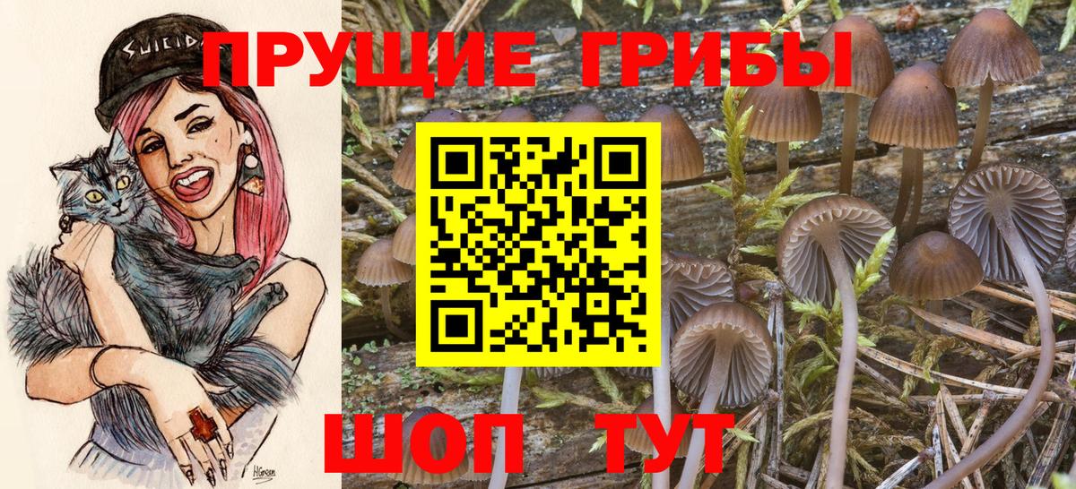 Псилоцибиновые грибы ЛСД  Псилоцибиновые грибы прущие грибы  купить закладку  Вход с VPN  Кубинка 